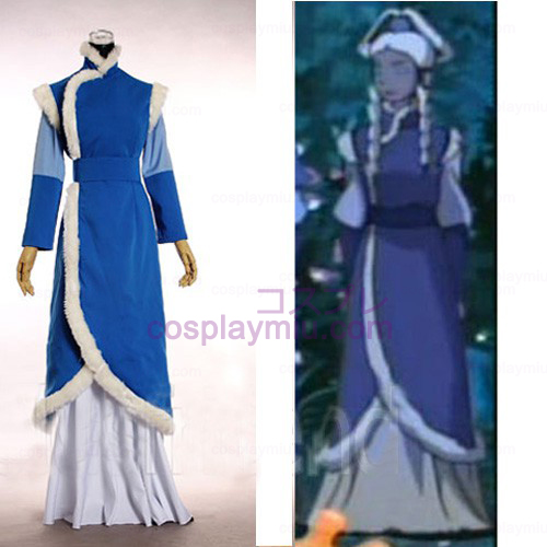 Avatar The Last Airbender Cosplay Costume