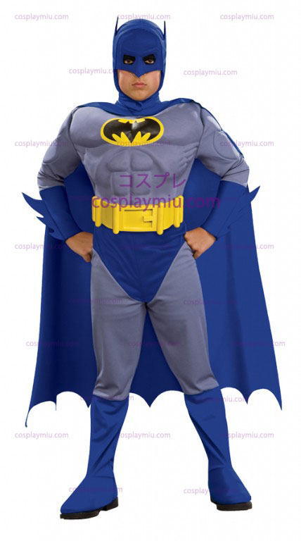 Batman Brave and Bold Costume