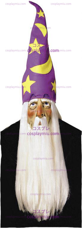 Wizard Mask With Hair and Hat