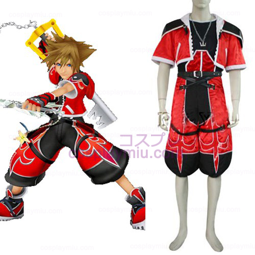 Kingdom Hearts 2 Sora Brave Form Cosplay Costume